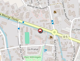 Carte de Aes (alpes Electronique Services) à Vizille