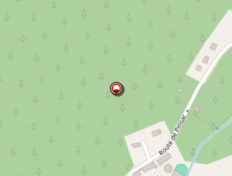 Carte de Jérôme Grugier à Chamadelle