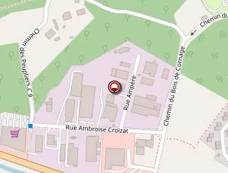 Carte de Codelo (valorisation Industrielle) à Vizille