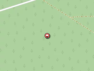 Carte de Les Mimosas à Carcans