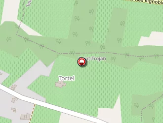 Carte de Drapeau Pierre à Saint-trojan