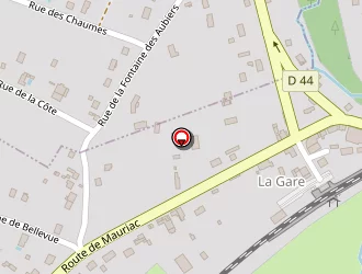 Carte de Angibaud Didier à Neuvic