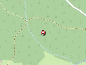 Carte de Grand Philippe à Yssingeaux