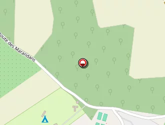 Carte de De Brandt Raphaël à Saint-romans