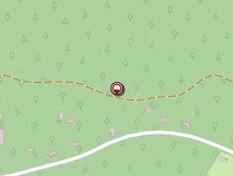 Carte de Antonin Sandrine à Grignols