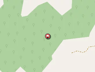 Carte de Ségard Céline à Parnans