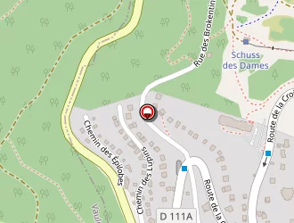 Carte de Ricciardi Emanuelle à Chamrousse