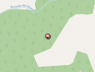 Carte de Priorité Auto à Peyrins