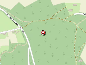 Carte de Trivel Damien à Yssingeaux