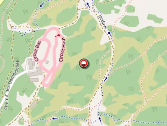 Carte de Taxi Jaillet à Chamrousse