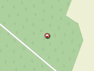 Carte de Costes Jack à Carcans