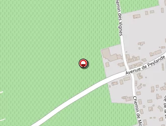 Carte de Dedieu Benoit à Cussac-fort-médoc