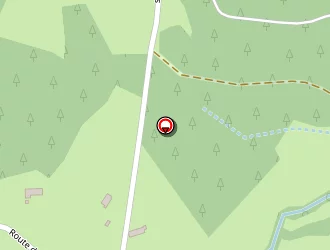 Carte de Guilhot Angélique à Chenereilles