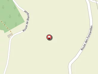 Carte de Comte Gérard à Vissac-auteyrac