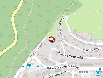 Carte de Hôtel La Datcha à Chamrousse