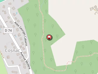 Carte de Pascal Gironde à Cosnac