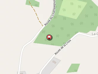 Carte de Thourigny Stéphane à Fossemagne