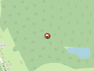 Carte de Dichamp Serge à Saint-privat