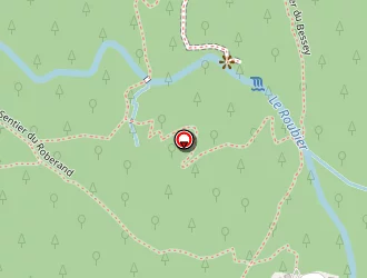 Carte de Taxi D'oz à Oz