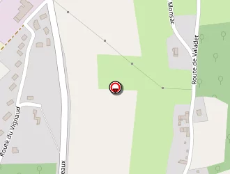 Carte de Villechenaud Carine à Coursac