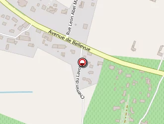 Carte de Cgm à Saint-savin