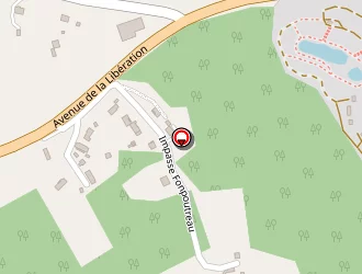 Carte de Lienard Jean-luc à Thenon