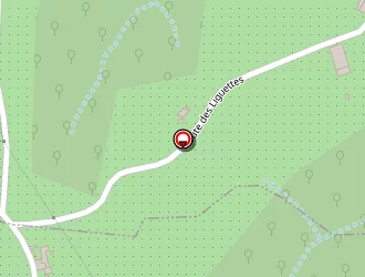 Carte de Carlton Consultancy à Érôme