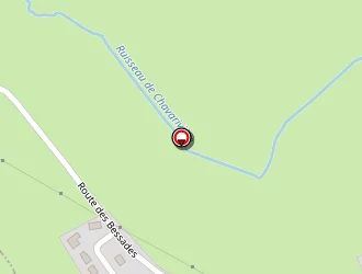 Carte de Senaud Michel à Salers