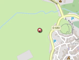 Carte de Strub Pascal à Salers