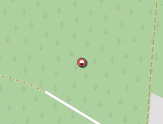 Carte de Lubet David à Hourtin