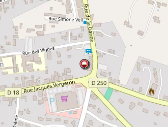 Carte de Le Kiosque à Pizzas à Saint-savin