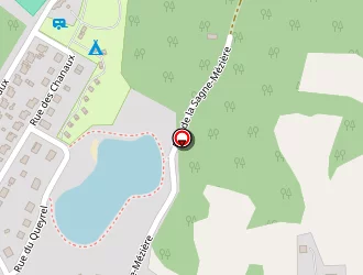 Carte de Lamoure Yannick à Saint-privat