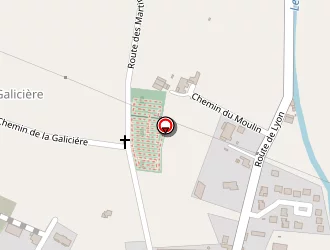 Carte de Verdier Christine à Chatte