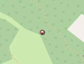 Carte de Delmas Patrick à Thenon