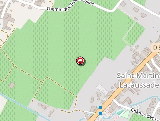 Carte de Cachein Chantal à Saint-martin-lacaussade