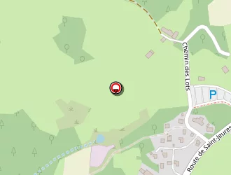 Carte de Ravel Cyril à Lapte