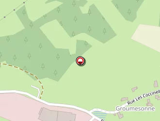 Carte de Fcl Bois à Yssingeaux