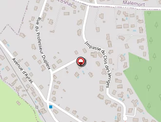 Carte de Chenut Marjolaine à Cosnac