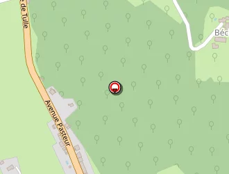 Carte de La Souvigne à Forgès