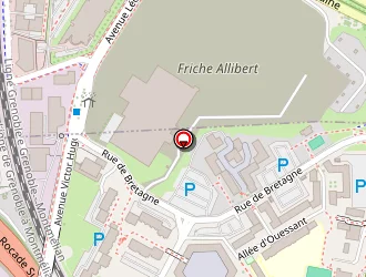 Carte de Saidani Nessima à Échirolles