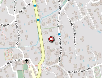 Carte de Brans à Seyssins