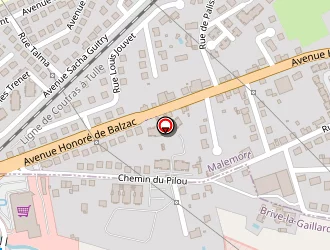 Carte de Conche Marie à Malemort-sur-corrèze