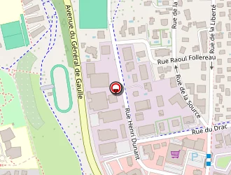 Carte de Pons De Vincent à Seyssins