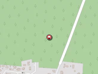 Carte de Omont Cédric à Hourtin