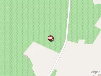 Carte de Roche Stéphane à Campugnan