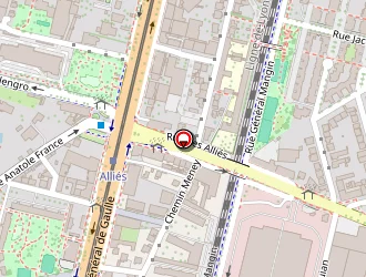 Carte de Institut De Beauté Ornella à Grenoble