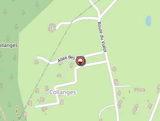 Carte de Bethon Stéphane à Saint-romain-d'ay