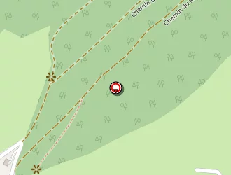 Carte de Duchemin Jong-il à Venon