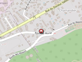 Carte de Larzen à Gières