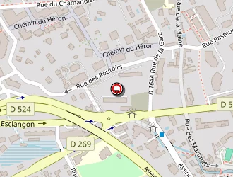 Carte de Chape 38 à Gières